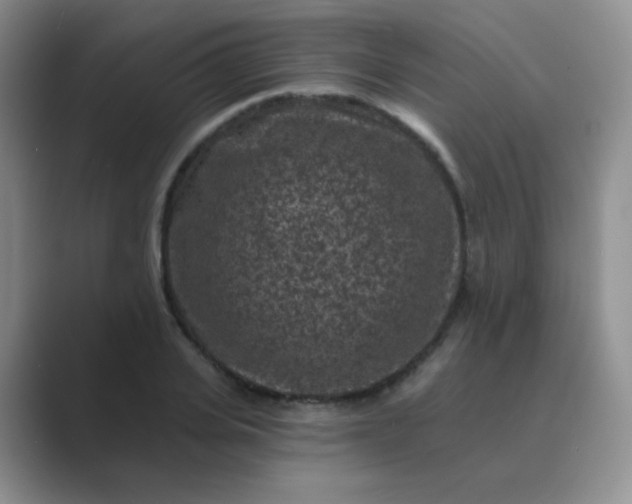 X0000089700935200707051641