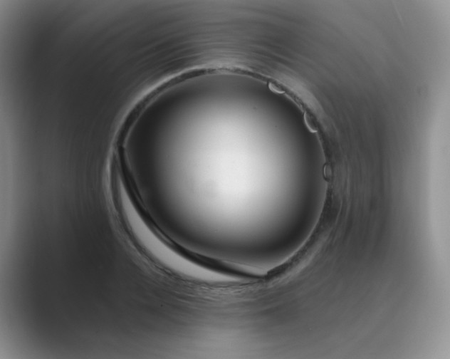 X0000089700936200707051641