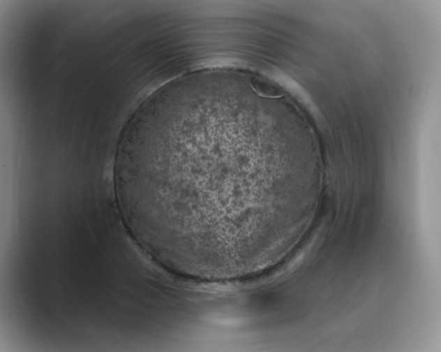 X0000089700937200707051641