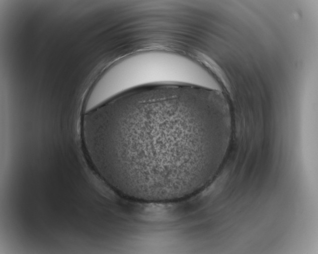 X0000089700938200707051641