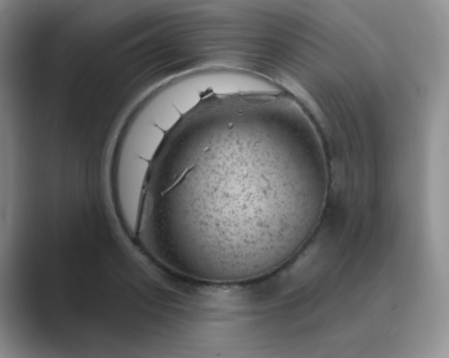 X0000089700939200707051641