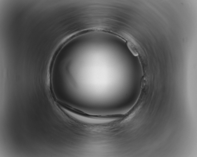 X0000089700940200707051641