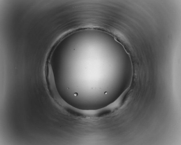 X0000089700942200707051641