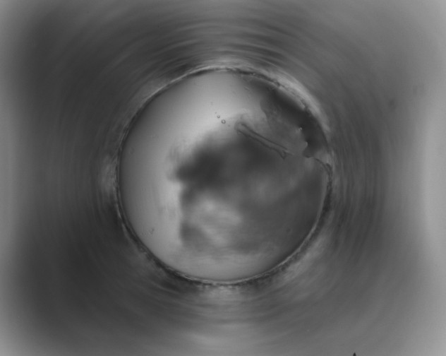 X0000089700945200707051641