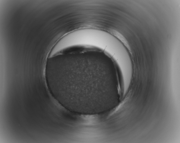 X0000089700946200707051641