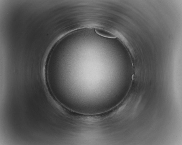 X0000089700947200707051641