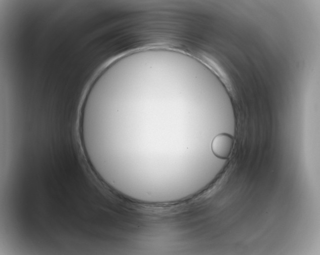 X0000089700948200707051641