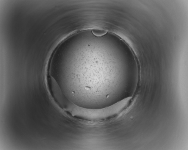 X0000089700949200707051641