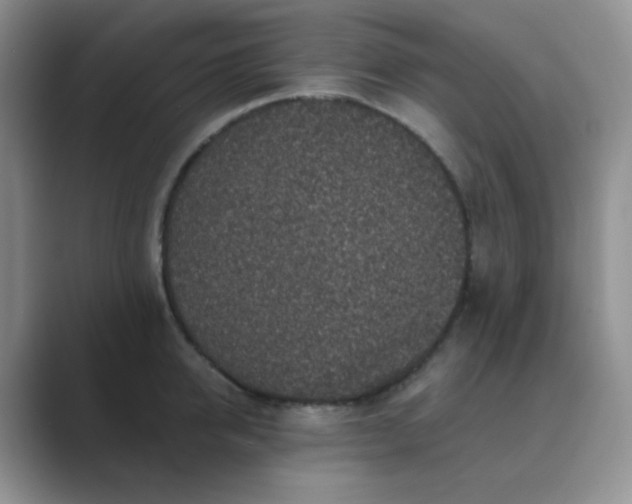 X0000089700950200707051641