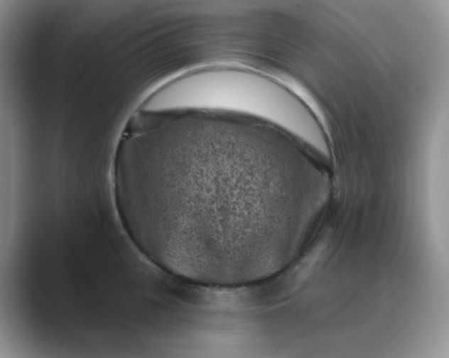 X0000089700951200707051641