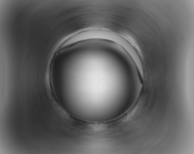 X0000089700952200707051641