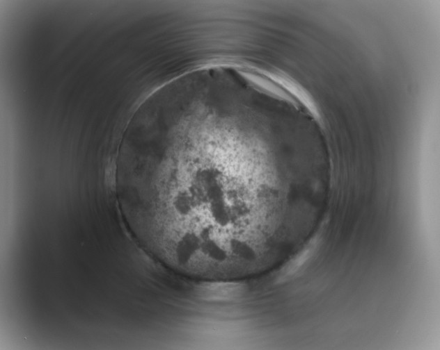 X0000089700953200707051641