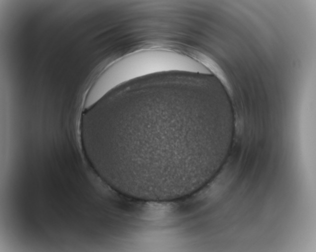 X0000089700954200707051641