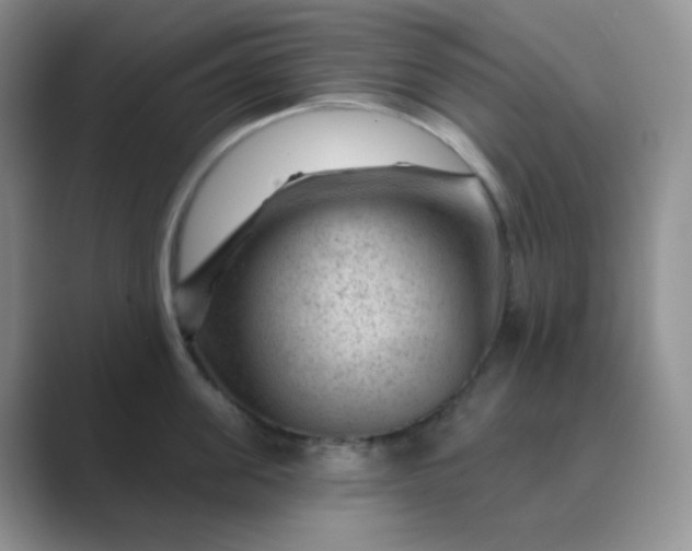 X0000089700955200707051641