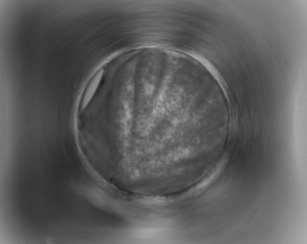 X0000089700957200707051641