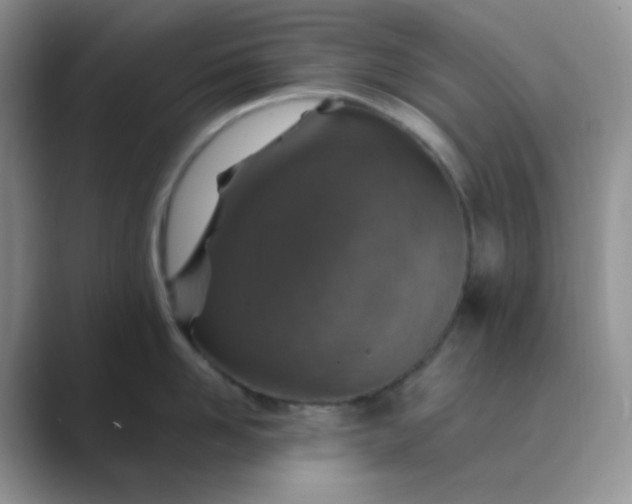 X0000089700958200707051641