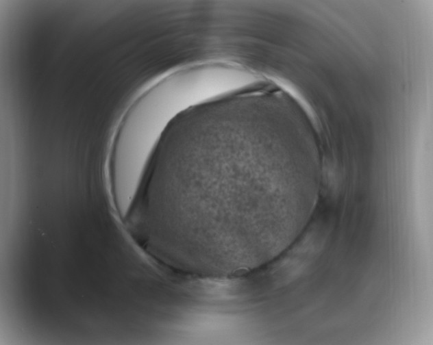 X0000089700959200707051641