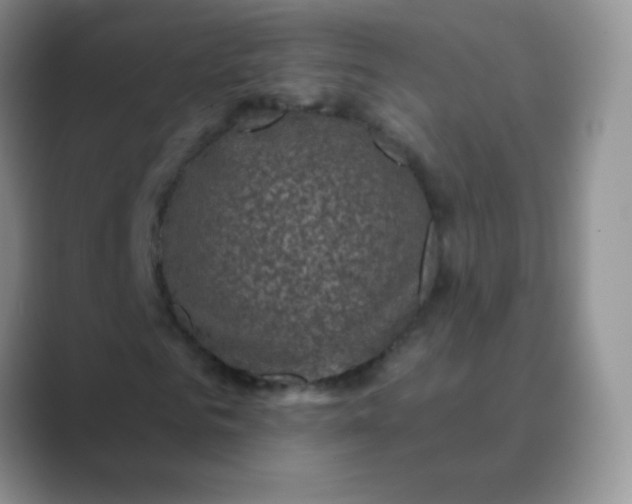 X0000089700961200707051640