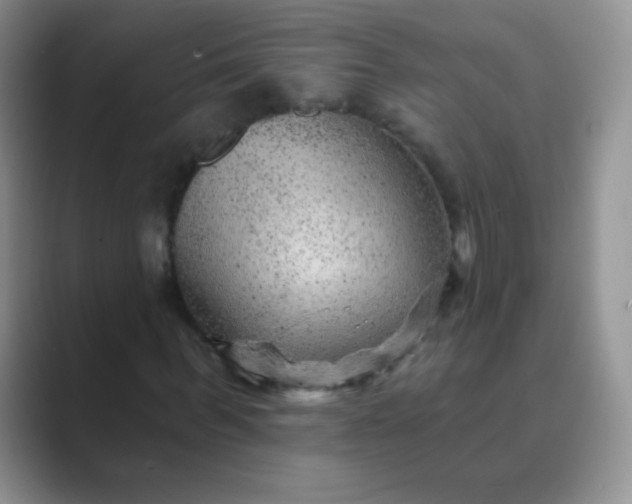 X0000089700963200707051640