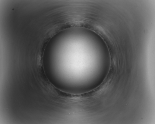 X0000089700964200707051640