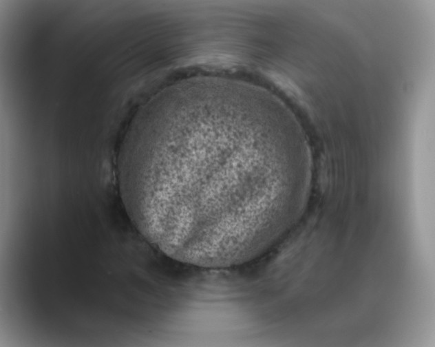 X0000089700966200707051640