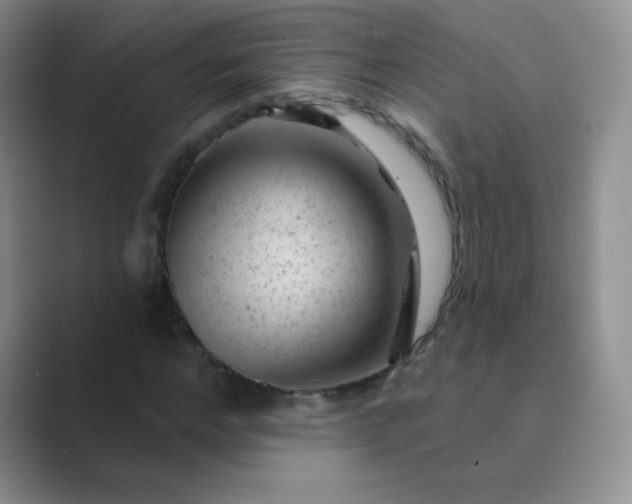 X0000089700968200707051640