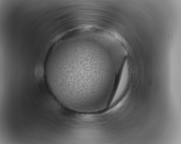 X0000089700969200707051640