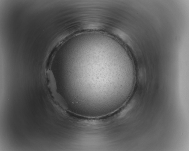 X0000089700970200707051640