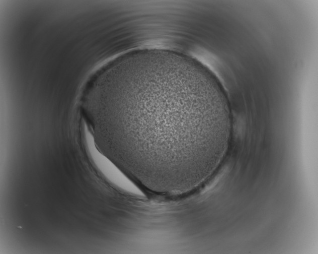 X0000089700971200707051640