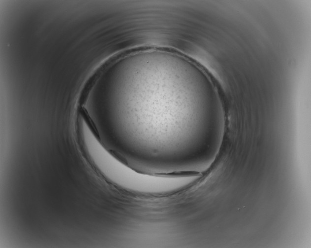 X0000089700972200707051640