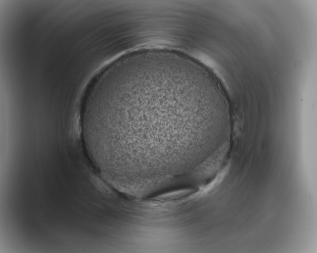 X0000089700973200707051640