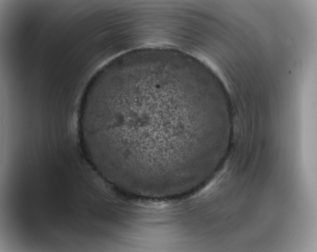 X0000089700975200707051640