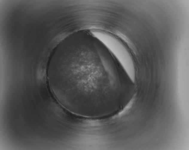 X0000089700977200707051640