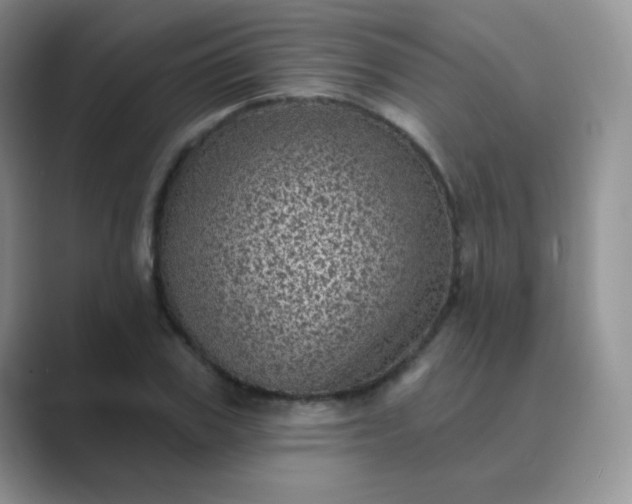 X0000089700979200707051640