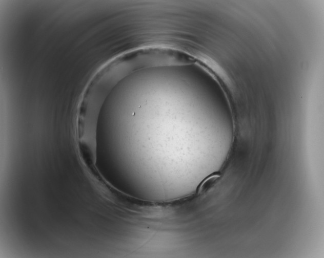 X0000089700980200707051640