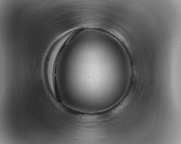 X0000089700981200707051640