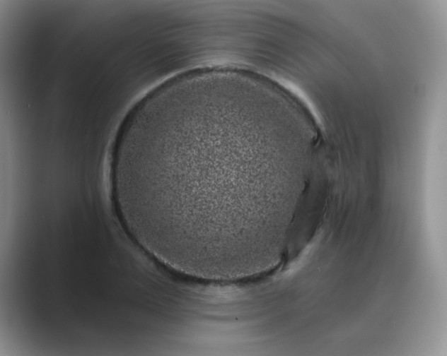 X0000089700983200707051640