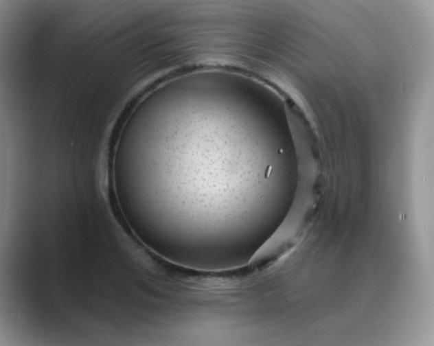 X0000089700984200707051640