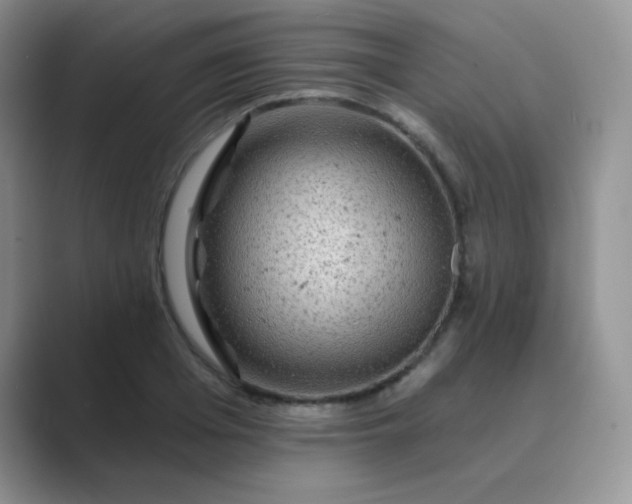 X0000089700985200707051640