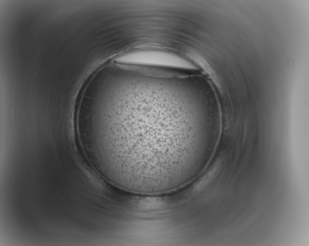 X0000089700986200707051640