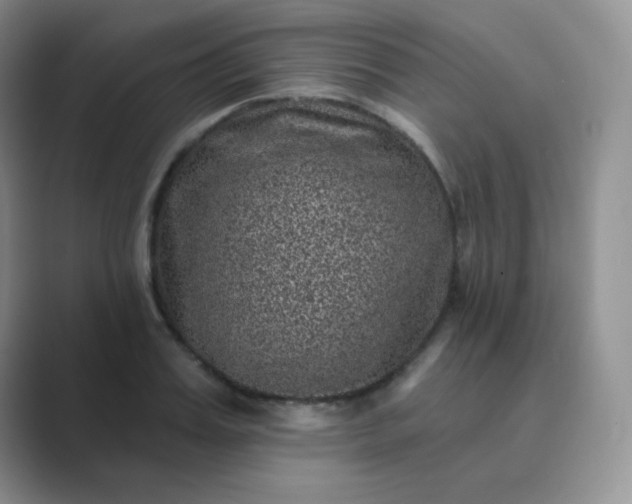 X0000089700987200707051640