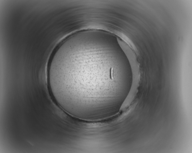 X0000089700988200707051640