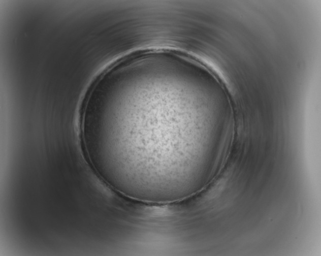 X0000089700990200707051640