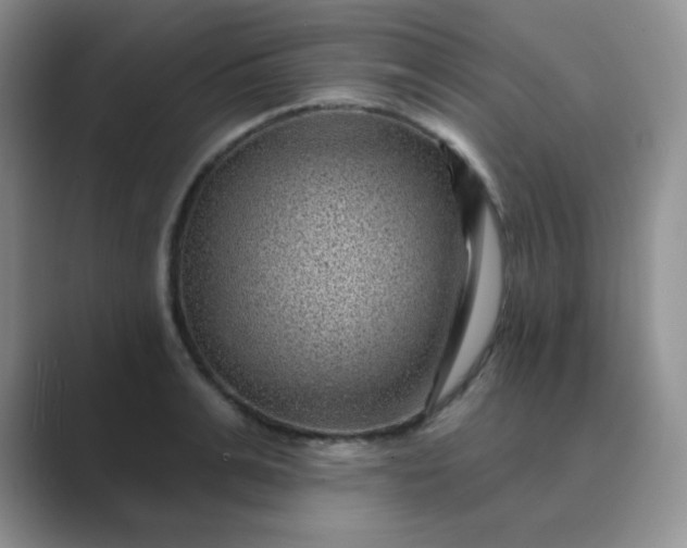 X0000089700991200707051640