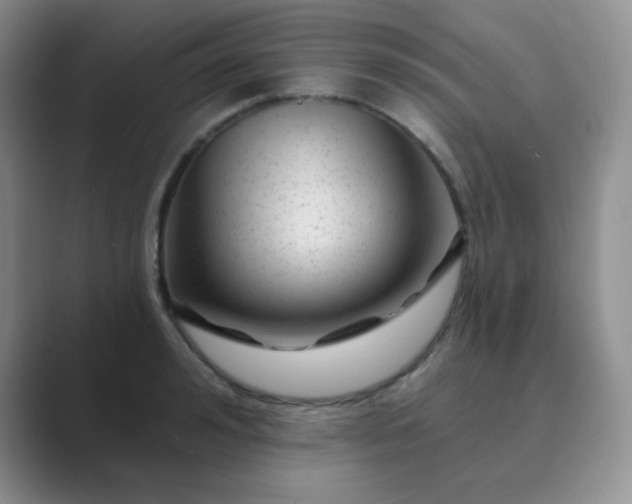 X0000089700992200707051640