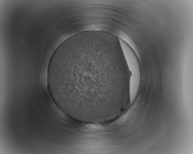 X0000089700994200707051640