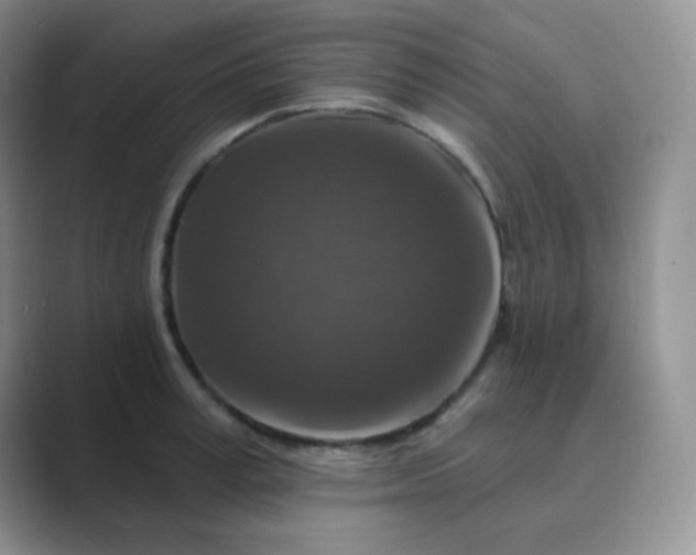 X0000089700995200707051640