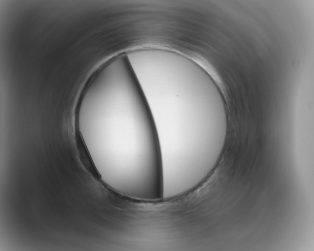 X0000089700996200707051640