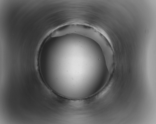 X0000089700997200707051640