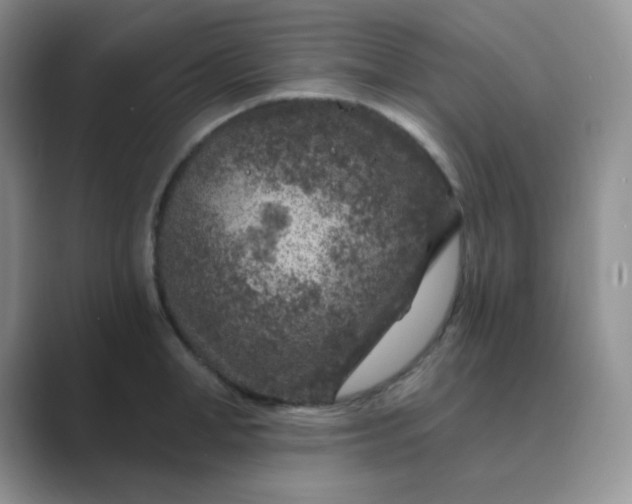 X0000089700998200707051640